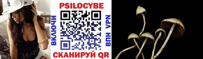 Галлюциногенные грибы мицелий где найти Андреаполь